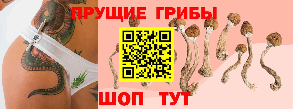 Галлюциногенные грибы мухоморы  Вход с VPN  Обнинск 
